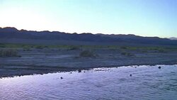 Death Valley Desert Amargosa River Flowing Stock Footage