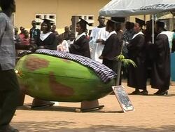 CLEAN: Man-sized coconut: a final resting place in Ghana News Clip
