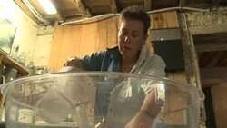 VOICED : A second life for the blue gold of Frances southwest News Clip