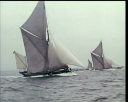 VETERANS OF THE RIVER (in colour) News Clip