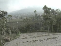 Field and trees coated in volcanic ash mud after eruption of Merapi volcano; Indonesia. 7 November 2010 / AUDIO Stock Footage