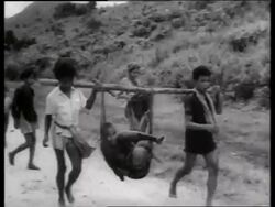 B/W 1960's men carrying wounded Asian man in net / Vietnam / SOUND Stock Footage