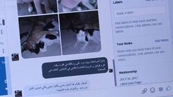 VOICED : Iraqi animal lovers go online to help save Baghdad's strays News Clip