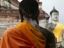 MS PAN View of buddha statues / Ayutthaya, Thailand Stock Footage