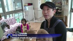 VOICED : Perros de alquiler News Clip