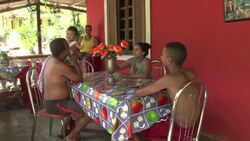 Traditional farming is getting a new lease of life Instructional Video