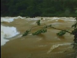 River in spate in Indian rainforest Stock Footage