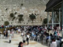 Women at the Wall Stock Footage