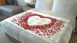 Pillow on bed Stock Footage