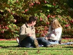 HD: Relaxing In Nature Stock Footage