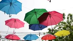 Umbrellas Stock Footage