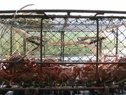 Alaskan Crab Pot Launch Stock Footage