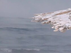 beach canopies and winter sea Stock Footage