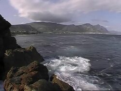 Right Whales gather off the coast of South Africa - News Clip