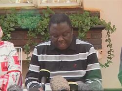 WRAP Tsvangirai pulls out of elex run-off, presser, observer reax News Clip