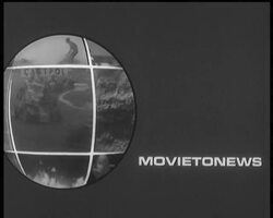 NEW AIRLINE News Clip