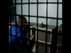 SYND 25 11 76  POOR CONDITIONS FOR THE TRANSPORTATION OF EXOTIC BIRDS News Clip