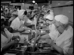 ROUND AND ABOUT News Clip