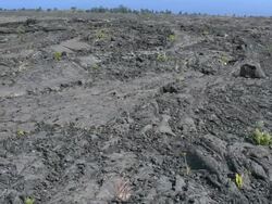 Old lava flow details Stock Footage