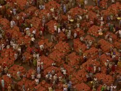 WS AERIAL DS View of tomatoes market / Lagos, Nigeria Stock Footage