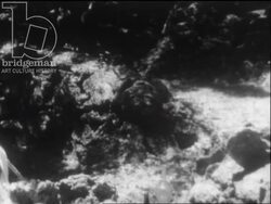 Madagascar c.1958 - Fisherman arrive on shore in canoes with caught fish. Stock Footage