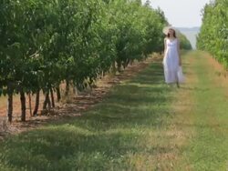 HD Young woman walking at garden Stock Footage