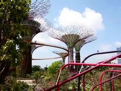 A Walk Through Singapore's Gardens By The Bay Stock Footage