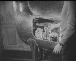 ANIMAL ART News Clip