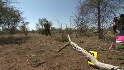 Prince Harry Visits Kruger National Park News Clip