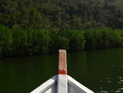 Speed boat point of view Stock Footage