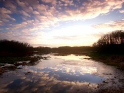 WS View of pond reflecting sky with ripples / Finley wildlife preserve, Oregon, United States Stock Footage
