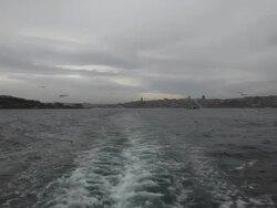 seagulls flying Stock Footage