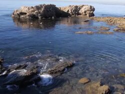 MS AERIAL POV SLO MO Shot of Waves crashing into rocks with pelicans and seagulls taking flight / Newport Beach, California, United States Stock Footage