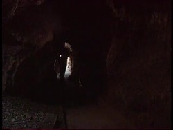 South Africa - Ancient Fossilised Bones Discovered News Clip