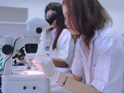 Medical students using a microscope to see bacteria,Dolly shot Stock Footage
