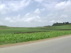 Green landscape and group of women walking by road Stock Footage