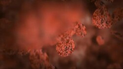 Red blood cells flow through an artery. Stock Footage