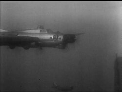 BATTLE OF THE BEACHES WON - News Clip