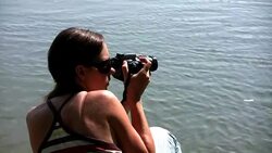 Photographer Stock Footage