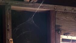 Newly homeless population rises in New Orleans News Clip