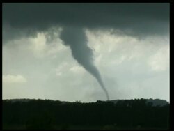WA Tornado swirling on horizon, with grey clouds, silhouetted bushes in foreground, USA Stock Footage