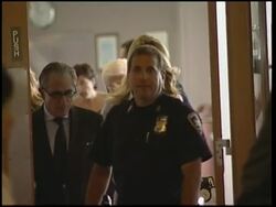 Christie Brinkley in court on day 1 of divorce trail News Clip