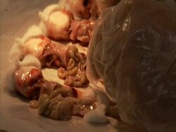 Gloved hands dissecting line of skinned white mice in lab, Royan Institute, Esfahan, Iran (sound available) Stock Footage