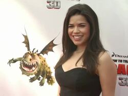 'How To Train Your Dragon' Premiere Stock Footage