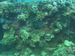 Shinkoku, from the porthole up and over deck. Chuuk Lagoon, South Pacific Stock Footage
