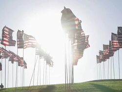 American Flags Waving In The Wind Stock Footage
