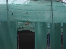 maintenance pagoda Stock Footage