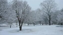 Amazing Winter Snow Stock Footage