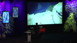 David Hoffman: Sputnik mania Instructional Video