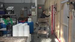 VOICED : Montreal mushrooms make the local economy go round News Clip